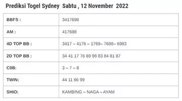 Syair SDY Hari Ini 12 November 2022 dari Palembangslot